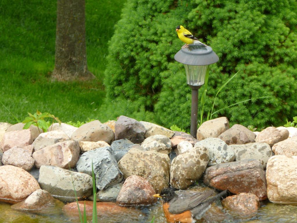 Villa Trickling Waters Retreat Marquette Exterior foto