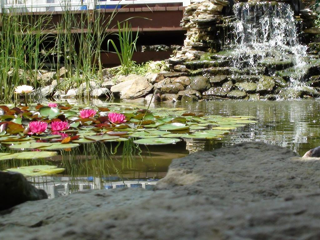 Villa Trickling Waters Retreat Marquette Exterior foto